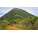 Paraguarí