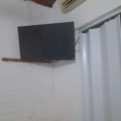 Flor de Pasión