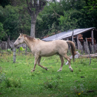Rincón Guarani 