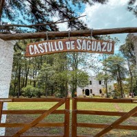 Castillo de Saguazu