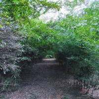Ecoparque Kunu’u renda 