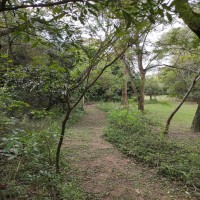 Ecoparque Kunu’u renda 