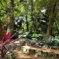 Ecoparque Kunu’u renda 