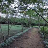 Ecoparque Kunu’u renda 