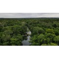 San Alfredo
