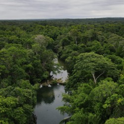 San Alfredo