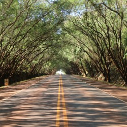Santa Rita 